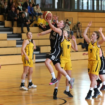 ludwigsburg sgwk_500