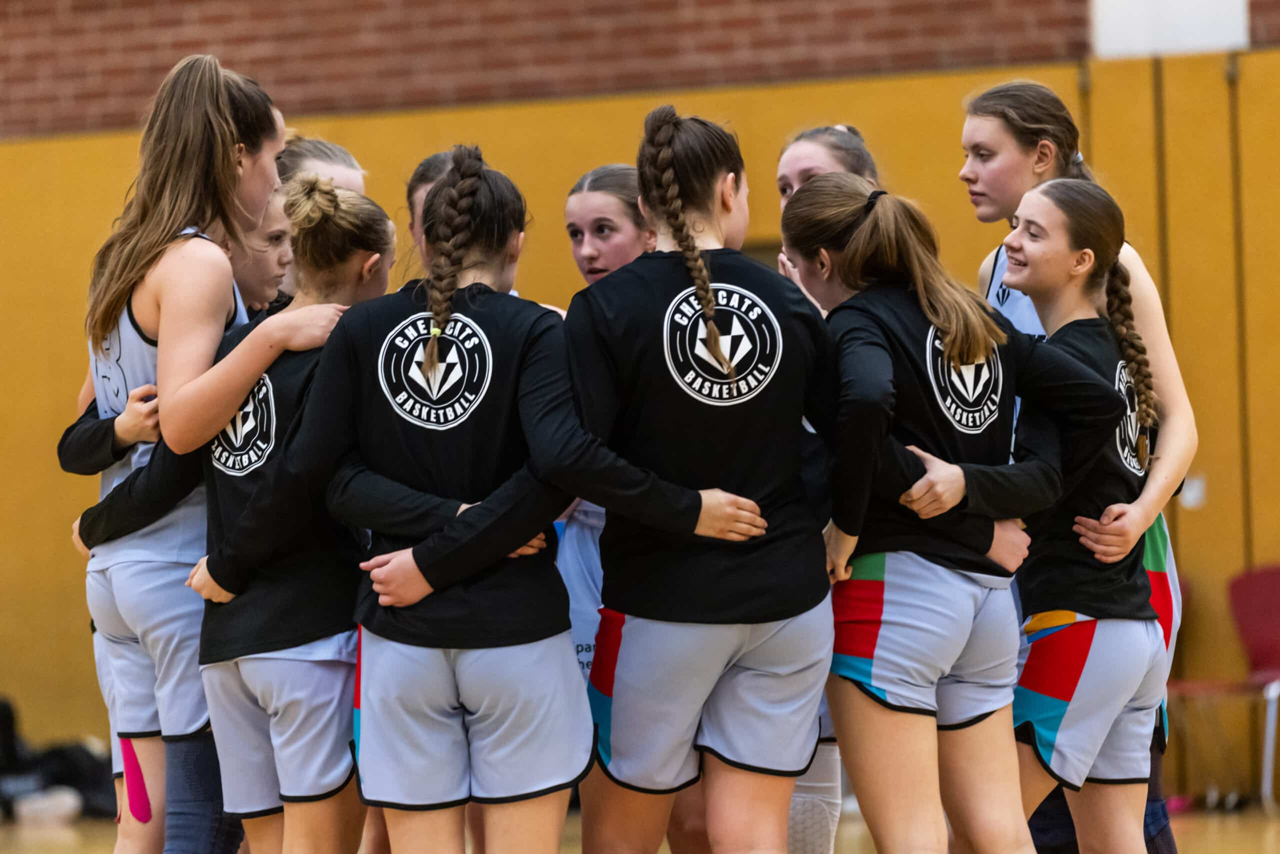 ChemCats, WNBL Saison 2023-2024, ChemCats - RheinMain Sharks, Sporthalle am Schlossteich, Chemnitz, 04.02.2024